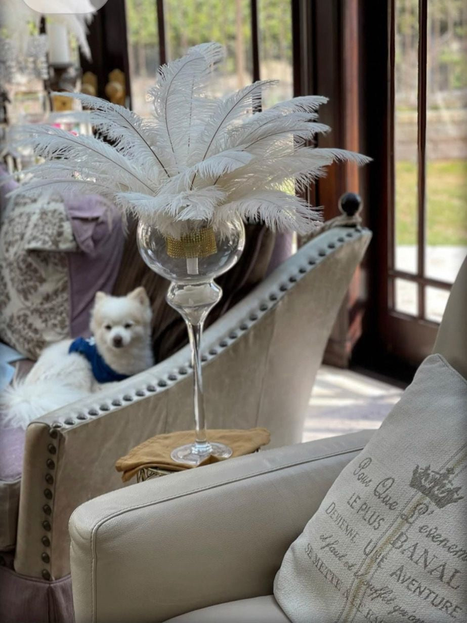Natural White Ostrich Feathers 100 pcs. 13-17 inch Bulk Ostrich Feathers