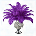 Load image into Gallery viewer, BULK 1/2lb Ostrich Feather Tail Plumes 15-20" (Purple)
