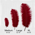 Load image into Gallery viewer, Ostrich Flexible Feathers 11-14" (Burgundy)
