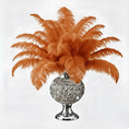 Load image into Gallery viewer, BULK 1/2lb Ostrich Feather Tail Plumes 15-20" (Copper)
