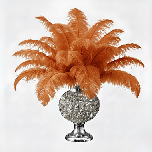 BULK 1/2lb Ostrich Feather Tail Plumes 15-20" (Copper)
