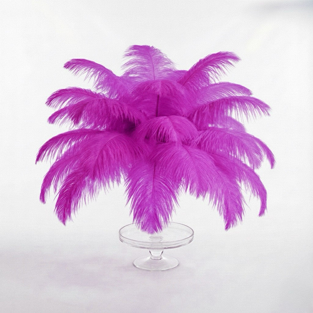 Ostrich Feather Tail Plumes 9-12" (Fuchsia)