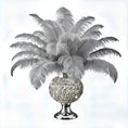 Load image into Gallery viewer, BULK 1/2lb Ostrich Feather Tail Plumes 15-20" (Silver/Grey)
