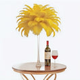 Load image into Gallery viewer, Ostrich Feather Tail Plumes 11-14" (Yellow) - www.BuyOstrichFeathers.com
