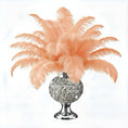 Load image into Gallery viewer, Ostrich Flexible Feathers 11-14" (Apricot)
