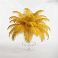 Load image into Gallery viewer, Ostrich Feather Tail Plumes 9-12" (Golden Yellow)

