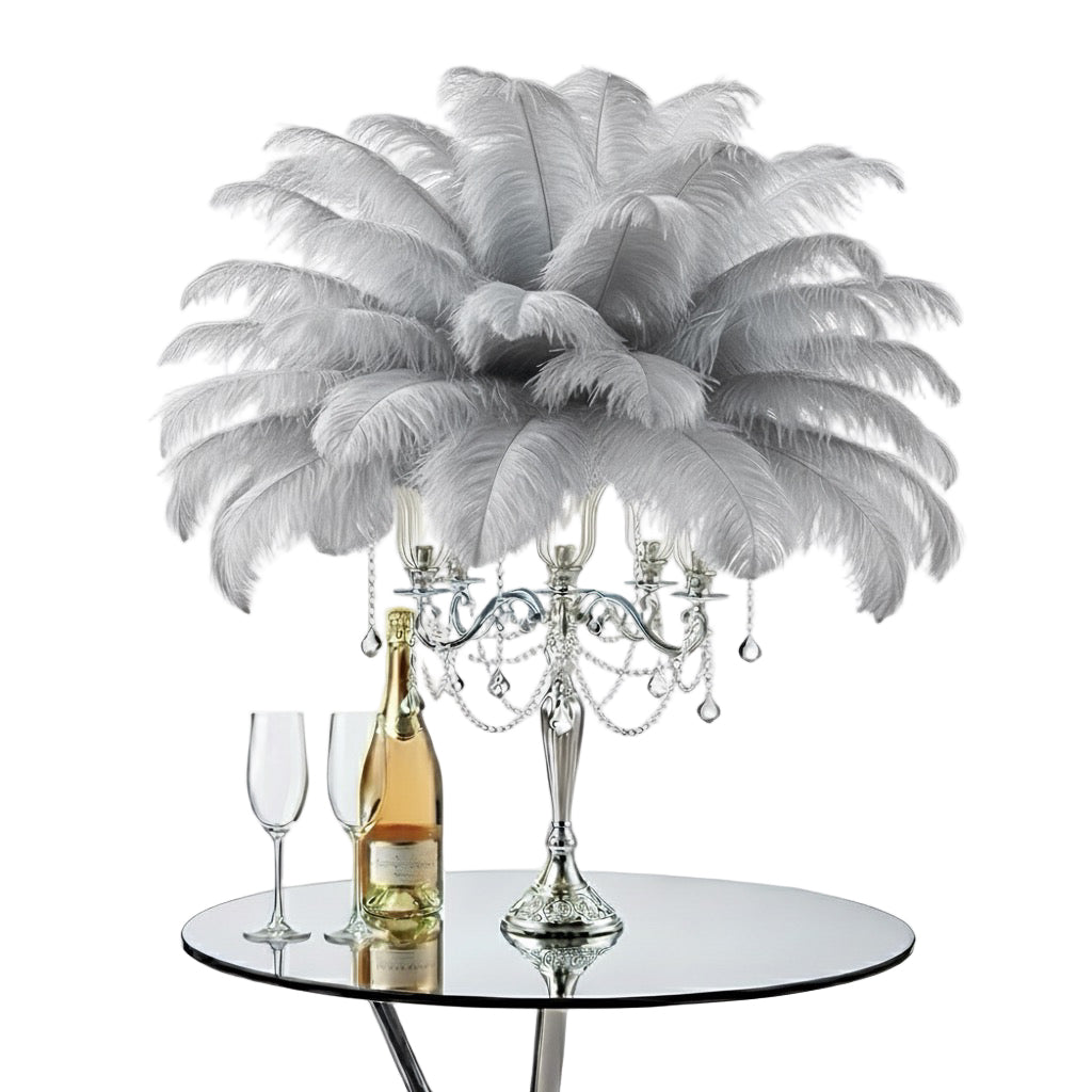 Ostrich Feather Tail Plumes 15-18" (Silver/Grey)