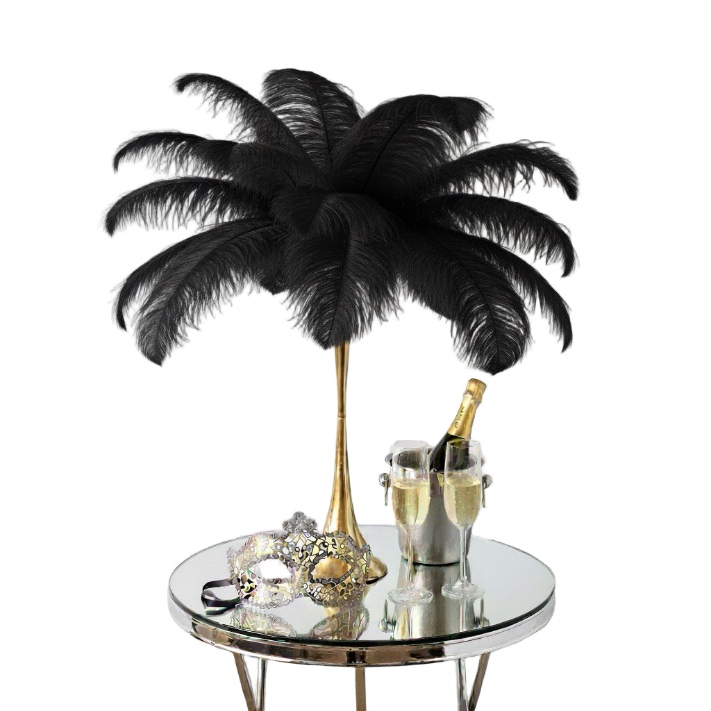 Ostrich Feather Spad Plumes 13-16" (Black)