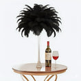 Load image into Gallery viewer, Ostrich Feather Tail Plumes 11-14" (Black) - www.BuyOstrichFeathers.com
