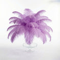 Load image into Gallery viewer, Ostrich Feather Tail Plumes 9-12" (Lavender)

