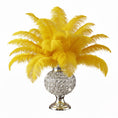 Load image into Gallery viewer, BULK 1/2lb Ostrich Feather Tail Plumes 15-20" (Golden Yellow)
