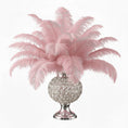 Load image into Gallery viewer, Ostrich Flexible Feathers 11-14" (Baby Pink)
