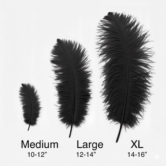 Ostrich Flexible Feathers 11-14" (Black)