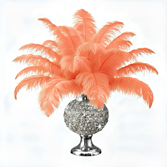 BULK 1/2lb Ostrich Feather Tail Plumes 15-20" (Apricot)