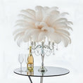 Load image into Gallery viewer, Ostrich Flexible Feathers 13-16" (White)
