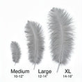 Load image into Gallery viewer, Ostrich Flexible Feathers 11-14" (Silver/Grey)
