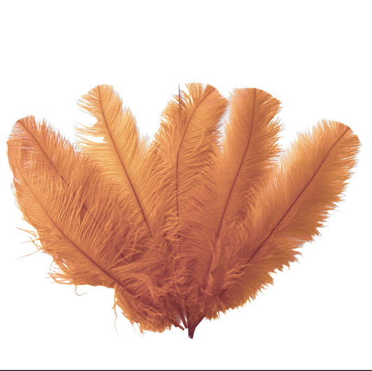 Ostrich Flexible Feathers 11-14" (Champagne)