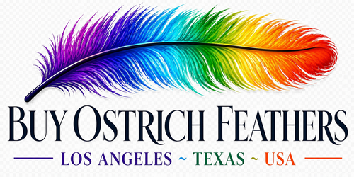 www.BuyOstrichFeathers.com