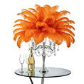 Load image into Gallery viewer, Ostrich Feather Tail Plumes 15-18" (Orange) - www.BuyOstrichFeathers.com
