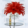 Load image into Gallery viewer, Ostrich Flexible Feathers 13-16" (Red)
