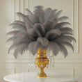 Load image into Gallery viewer, Ostrich Feather Tail Plumes 13-16" (Silver)
