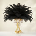 Load image into Gallery viewer, Ostrich Feather Rental 16-20" (Black) - 250pcs
