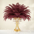 Load image into Gallery viewer, Ostrich Feather Tail Plumes 13-16" (Burgundy)
