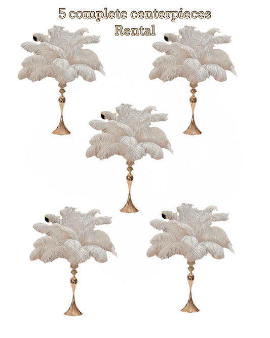 Centerpiece Rentals - Five Complete Ostrich Feather Centerpieces