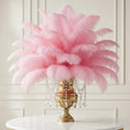 Load image into Gallery viewer, Ostrich Feather Tail Plumes 13-16" (Baby Pink)
