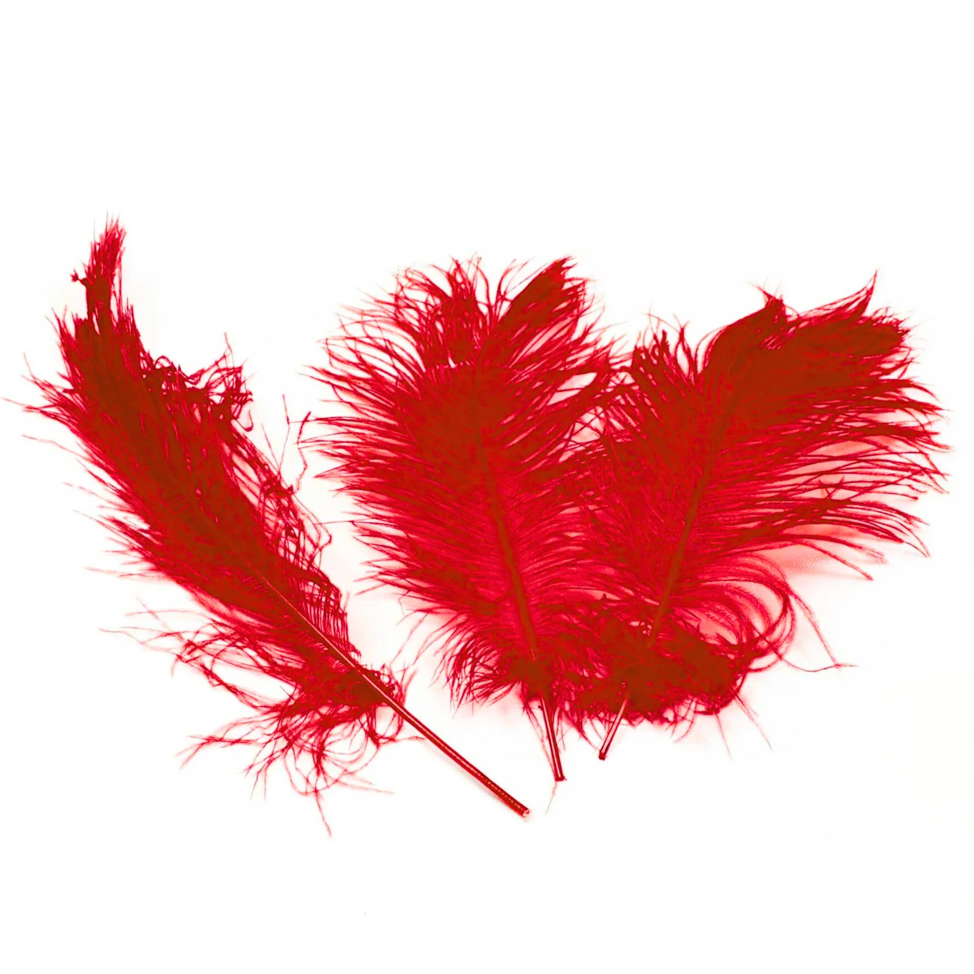 Ostrich Feather Tail Plumes 15-18" (Red)