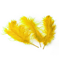 Load image into Gallery viewer, Ostrich Feather Tail Plumes 13-16" (Yellow) - www.BuyOstrichFeathers.com
