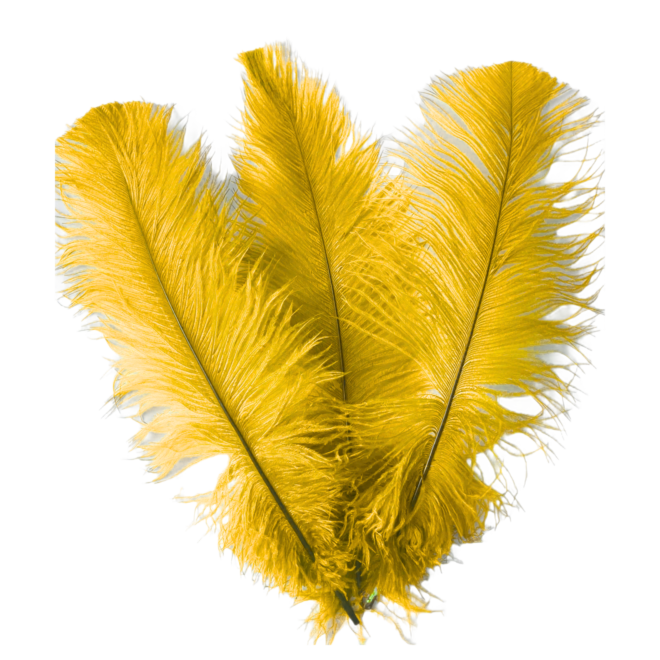 Ostrich Feather Spad Plumes 16-20" (Golden Yellow)