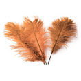 Load image into Gallery viewer, Ostrich Feather Tail Plumes 13-16" (Copper) - www.BuyOstrichFeathers.com
