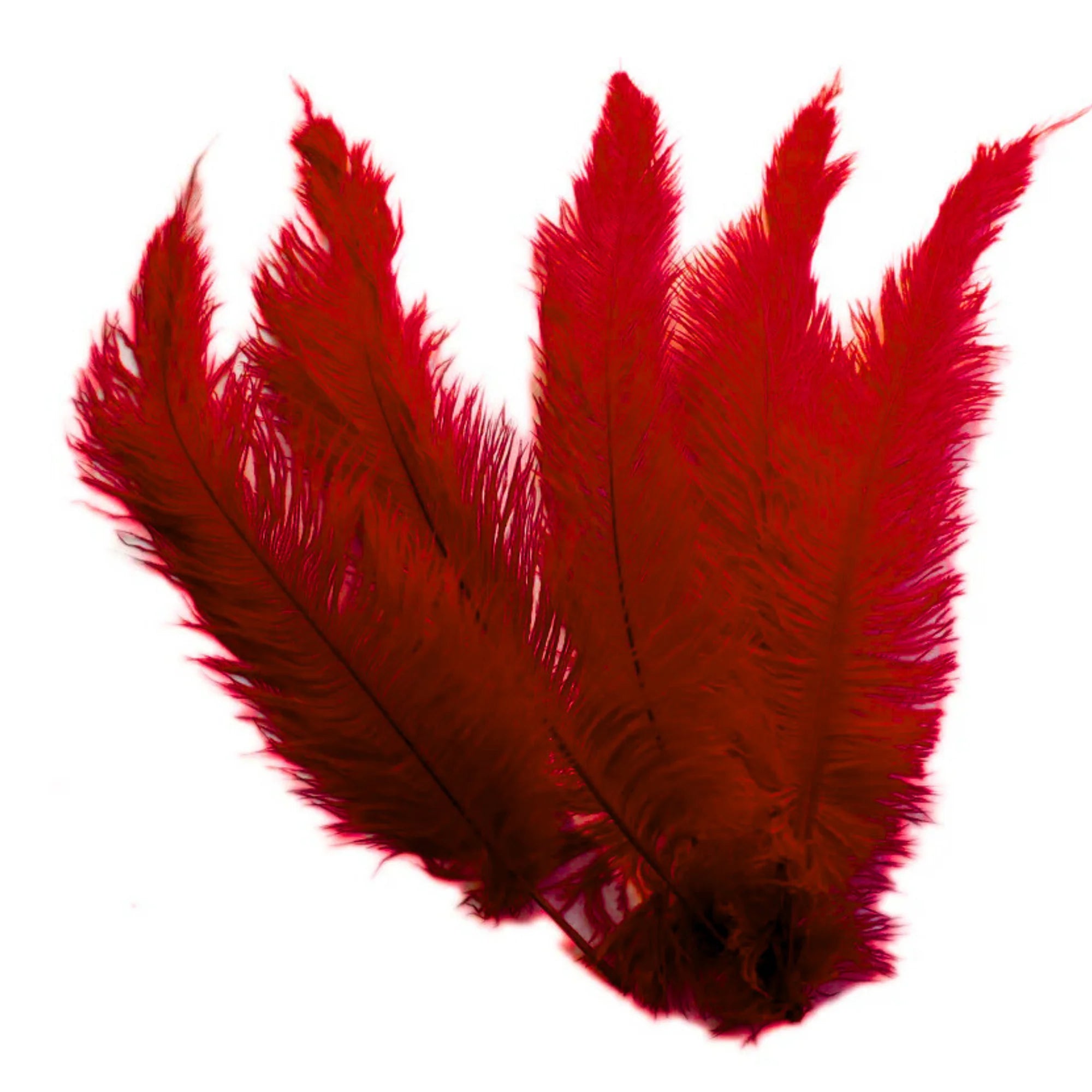 BULK 1/4lb Ostrich Feather Spad Plumes 12-16" (Burgundy)