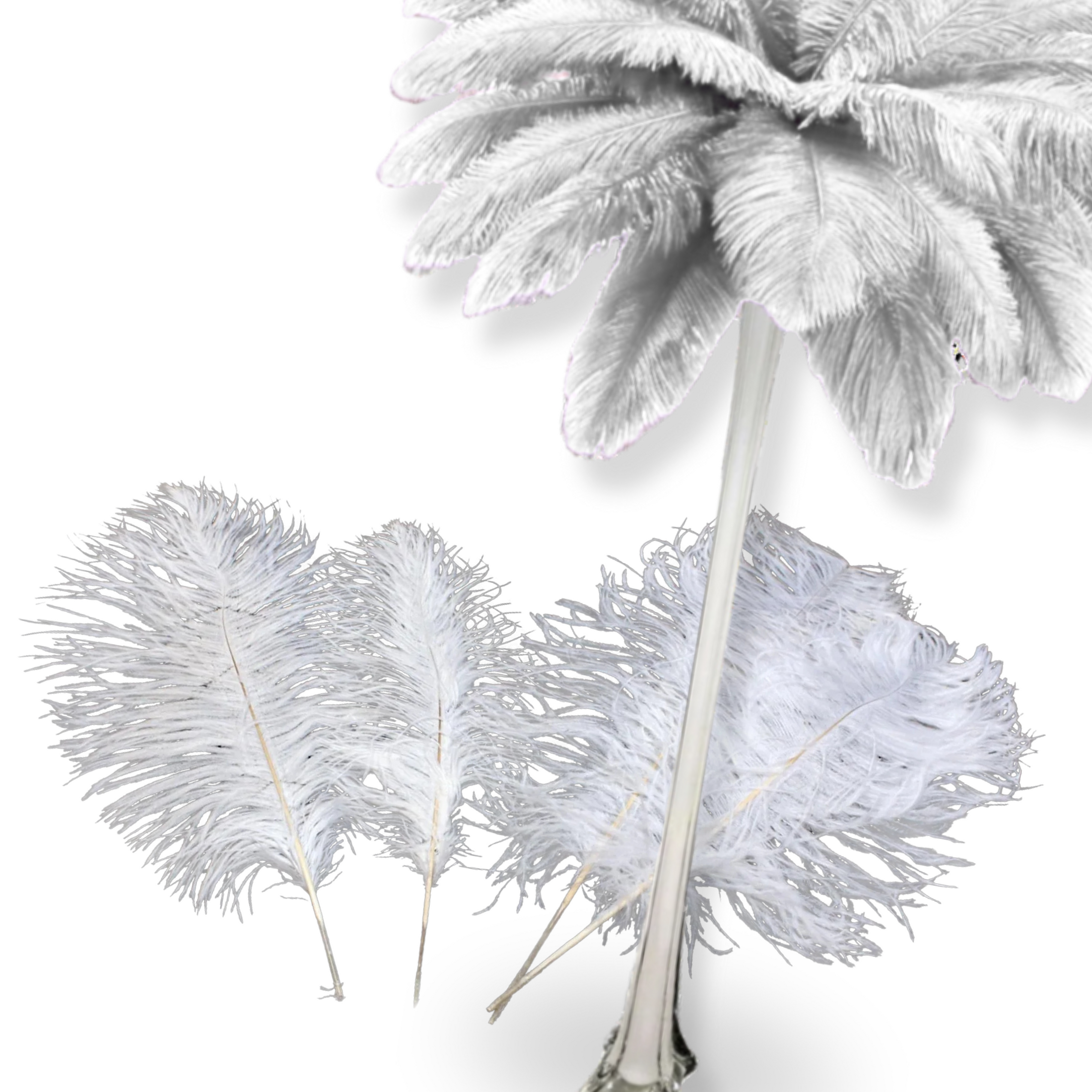 Complete Feather Centerpiece With 16" Vase (White)