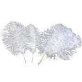 Load image into Gallery viewer, Ostrich Feather Tail Plumes 11-14" (White)
