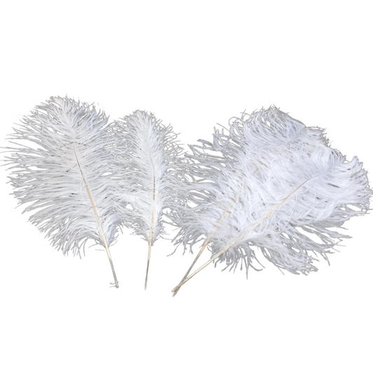 Ostrich Feather Tail Plumes 15-18" (White)