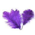 Load image into Gallery viewer, Ostrich Feather Tail Plumes 15-18" (Purple)
