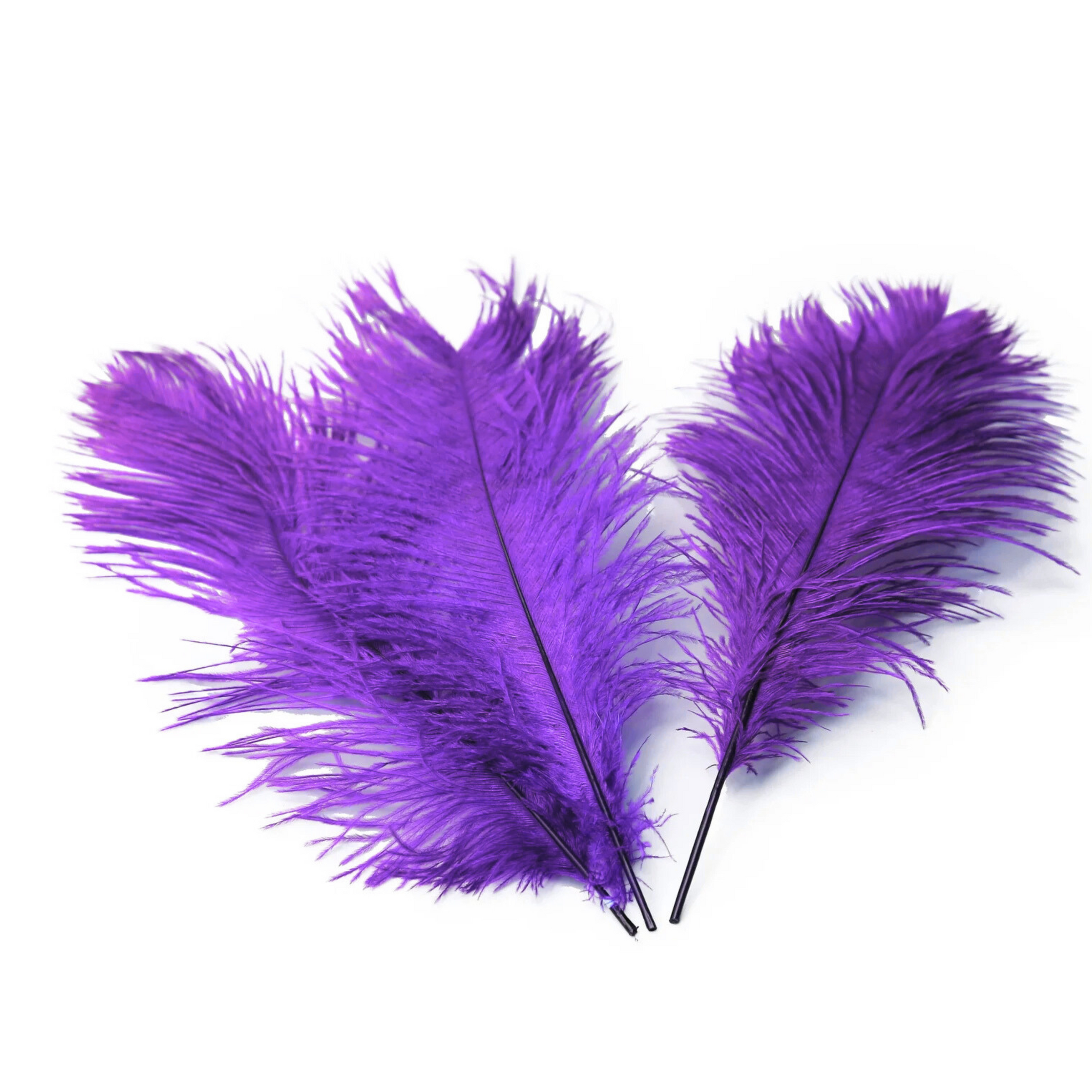 Ostrich Feather Tail Plumes 15-18" (Purple)