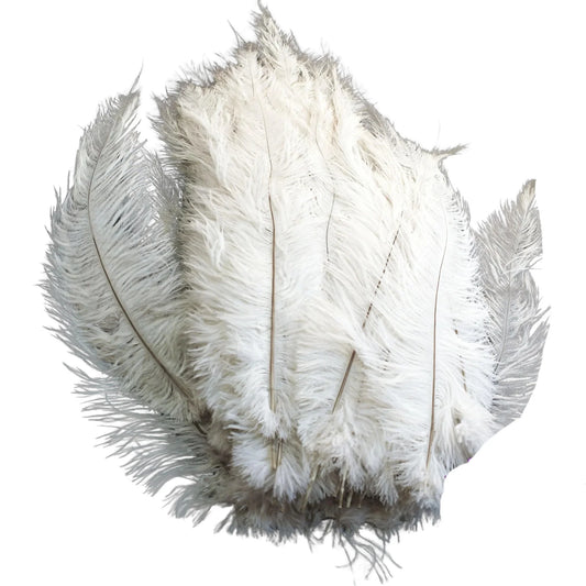 BULK 1/4lb Ostrich Feather Spad Plumes 12-16" (White)