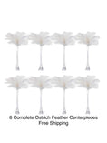 Load image into Gallery viewer, Budget-Friendly 8-Pack Centerpiece Combo - www.BuyOstrichFeathers.com
