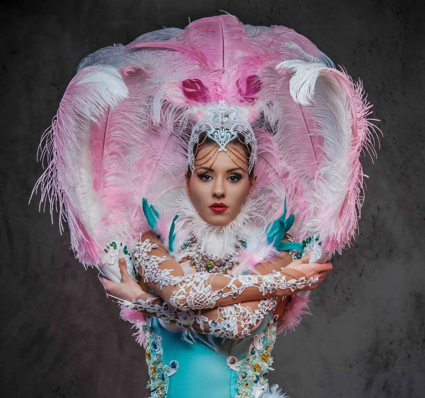 Beautiful girl in sumptuous carnival feather suit