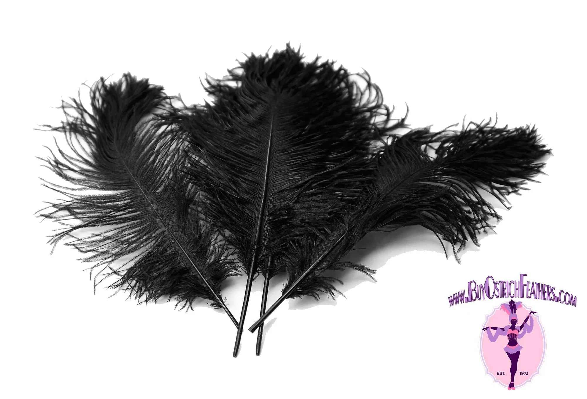 Ostrich Feather Tail Plumes 17-20" (Black)