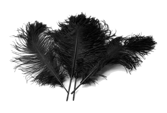 Ostrich Feather Tail Plumes 17-20" (Black)