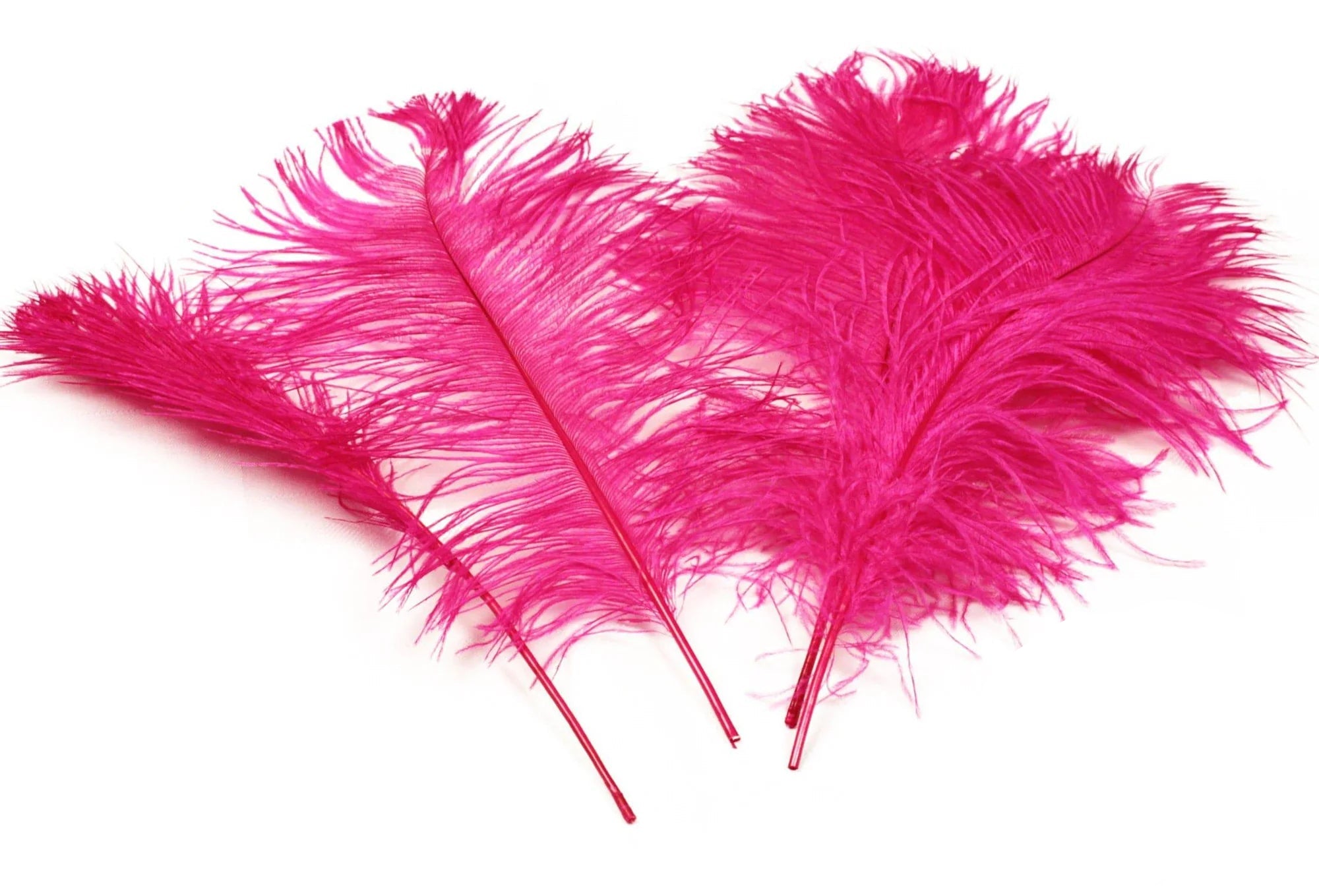 Ostrich Feather Tail Plumes 13-16" (Fuchsia)