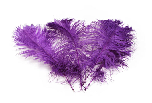 Ostrich Feather Tail Plumes 13-16" (Purple)