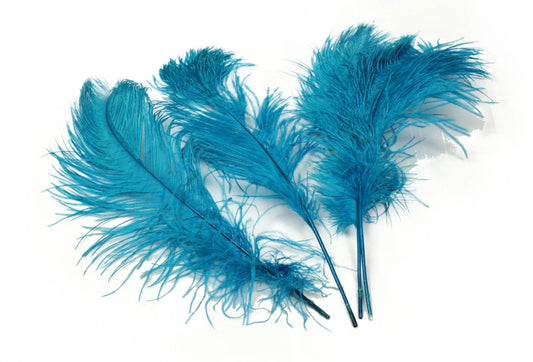 Ostrich Feather Tail Plumes 15-18" (Turquoise)