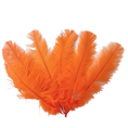 Load image into Gallery viewer, Ostrich Feather Spad Plumes 15-18" (Orange) - www.BuyOstrichFeathers.com
