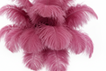 Load image into Gallery viewer, Complete Feather Centerpiece With 20" Vase (Rose Pink) - www.BuyOstrichFeathers.com
