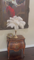 Load and play video in Gallery viewer, Centerpiece Rentals - Five Complete Ostrich Feather Centerpieces

